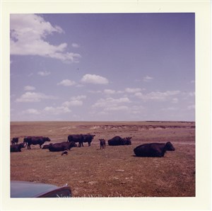 Image description is not available for PHO-4-W689-643